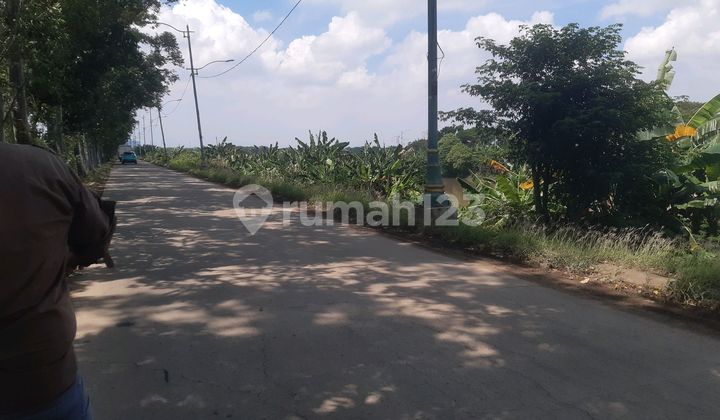 Tanah Di Pinggir Jalan Di Jakarta Timur Tanah Di Pinggir Jalan Di Jakarta Timur