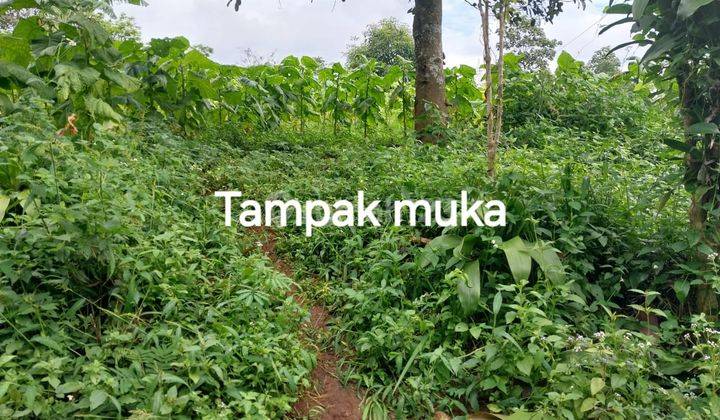 Tanah Cigendel Pamulihan Sumedang 1,12 Hektar 2