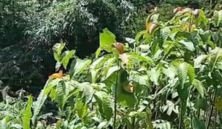 Tanah di Leuwi Munding Soreang Kab. Bandung 2ha - 5ha 3