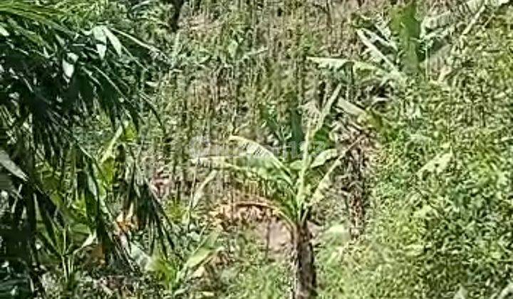Tanah di Leuwi Munding Soreang Kab. Bandung 2ha - 5ha 4