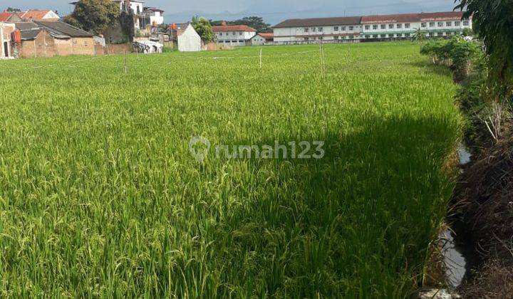 Tanah 2,4 Hektar Deket Standion Gbla Dan Masjid Aljabbar Gedebage 1