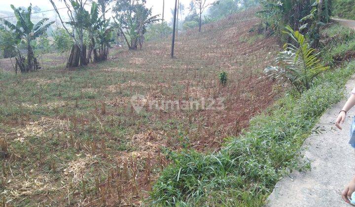 Tanah Murah 38 Hektar Zona Kuning di Padalarang Bandung Barat 1