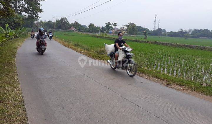 Tanah Sawah Mainroad Di Subang Cocok Untuk Perumahan 1