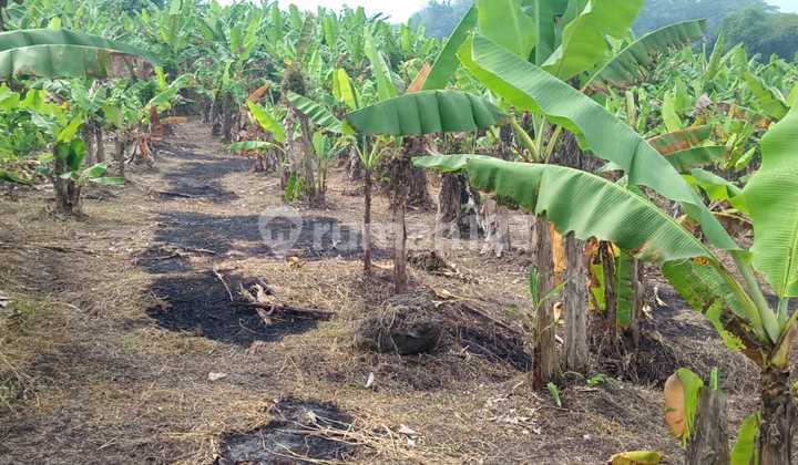 Cheap Land in Limbangan Garut Urban Settlement Area