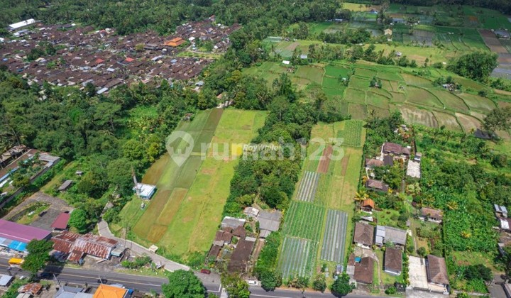 Wide land in Luwus by the roadside Wide land in Luwus by the roadside