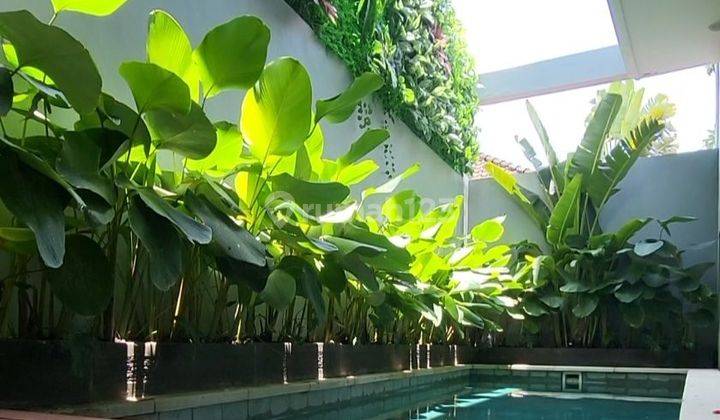 rare! modern 2 bedroom villa at canggu 1