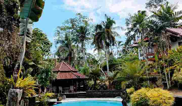 Luxury Riverside Villa in Kediri, Tabanan