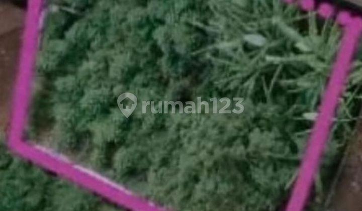 Tanah di Seminyak, Badung Tanah di Seminyak, Badung