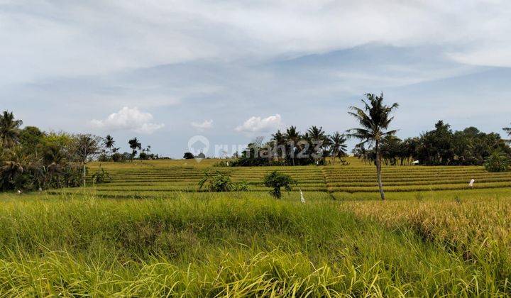 Tanah Dalam Kompleks Elite Dekat Canggu, Cemagi Dan Kedungu Beach 2