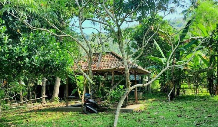 tanah ngantong di senggigi bagus buat investasi 1