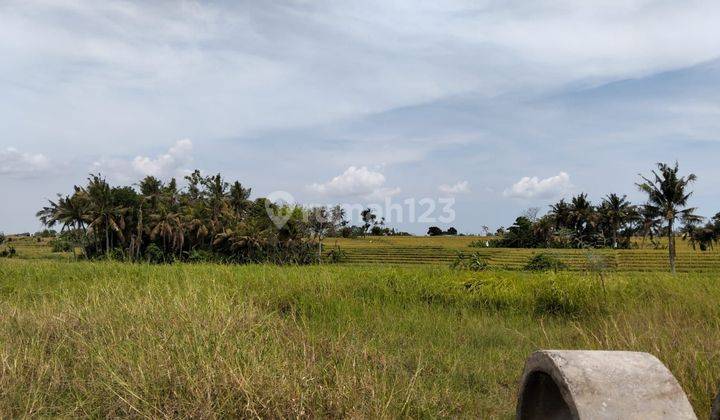 Tanah Dalam Kompleks Elite Dekat Canggu, Cemagi Dan Kedungu Beach 1