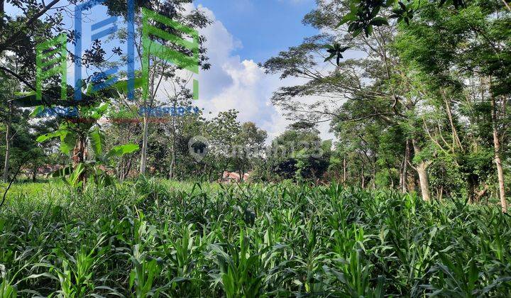 Dijual Tanah Murah Dekat Perumahan Di Winong Boyolali 2