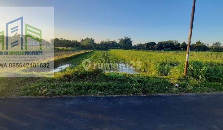 Tanah sawah murah strategis pinggir jalan di banyudono boyolali 3
