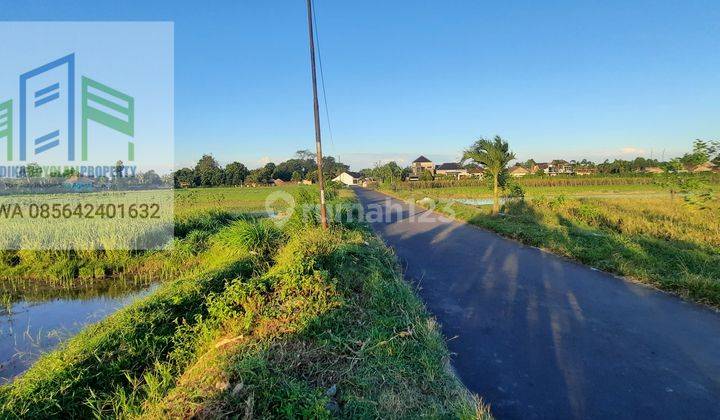 Tanah sawah murah strategis pinggir jalan di banyudono boyolali 5
