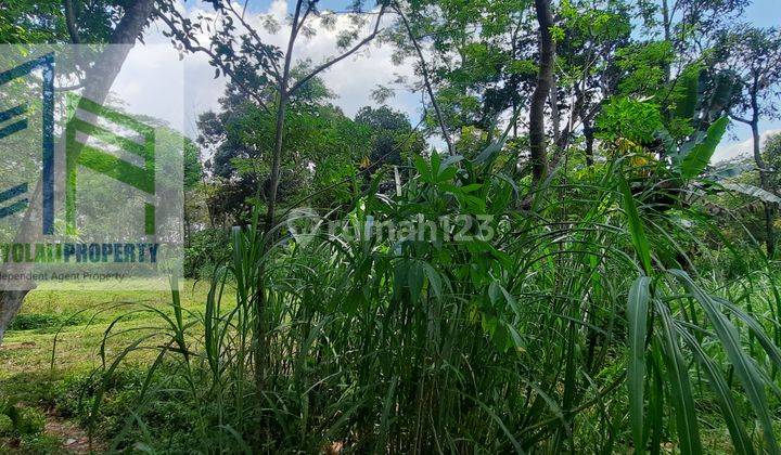 Tanah cocok untuk peternakan di ampel boyolali 4
