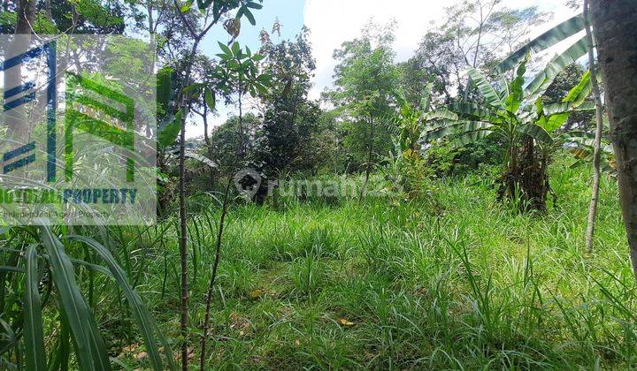 Tanah cocok untuk peternakan di ampel boyolali 5