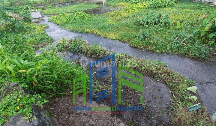 Tanah dengan sumber mata air melimpah di banyudono boyolali 7