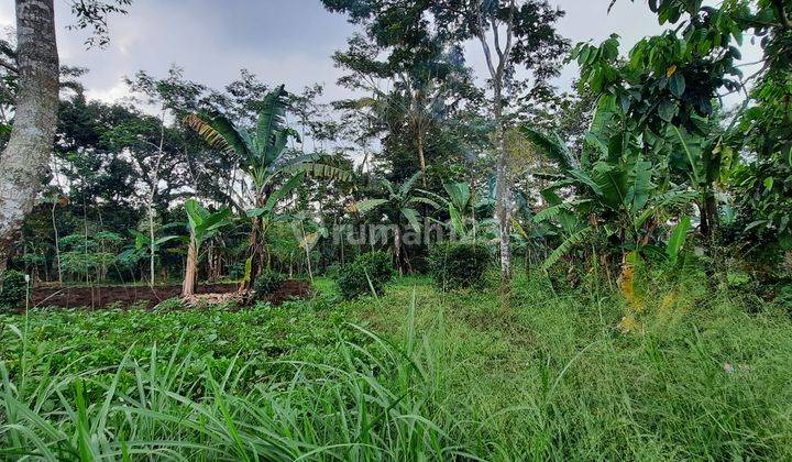 Tanah strategis pinggir jalan cocok untuk usaha dekat pabrik di Ngadirojo gladaksari boyolali 4