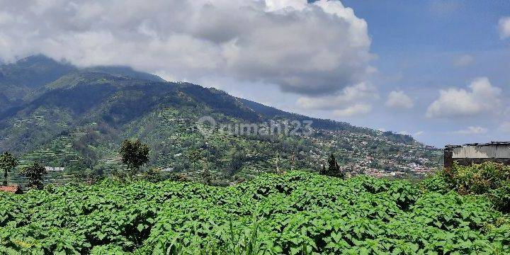 Tanah view gunung merbabu di Selo Boyolali 1