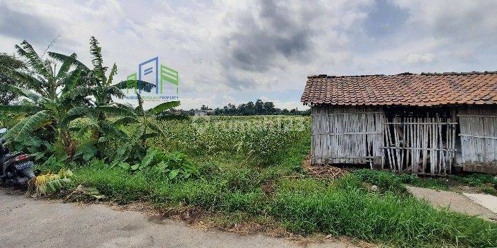 Dijual sawah belakang pom bensin teras Boyolali 2