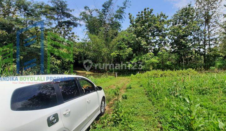 Dijual tanah pekarangan di Glonggong Nogosari Boyolali 2