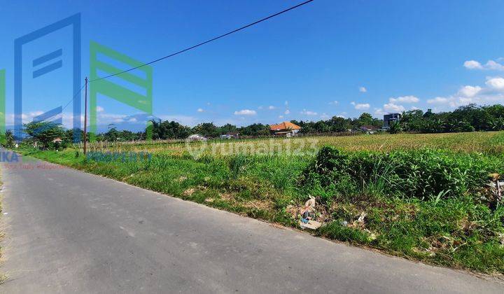 Tanah sawah dengan pemandangan indah di Banyudono Boyolali 1