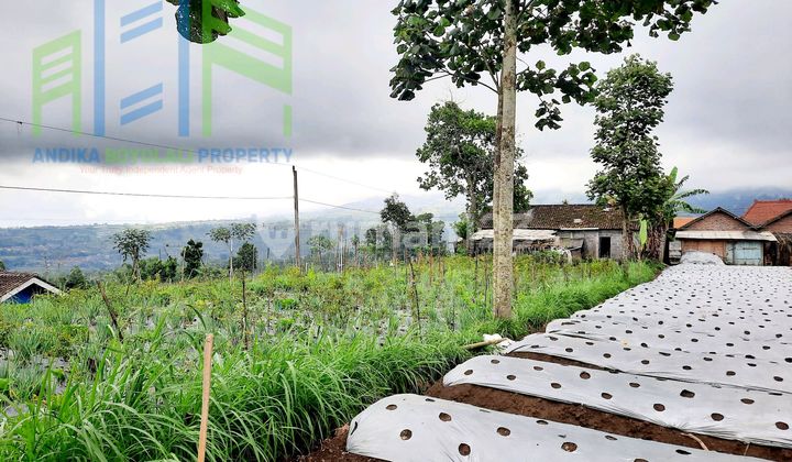 Mountain Ambiance Homestead Land in Selo Boyolali