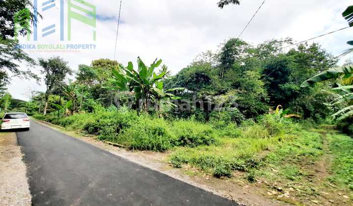 Rural Atmosphere Yard Land in Dlingo Mojosongo Boyolali Rural Atmosphere Yard Land in Dlingo Mojosongo Boyolali