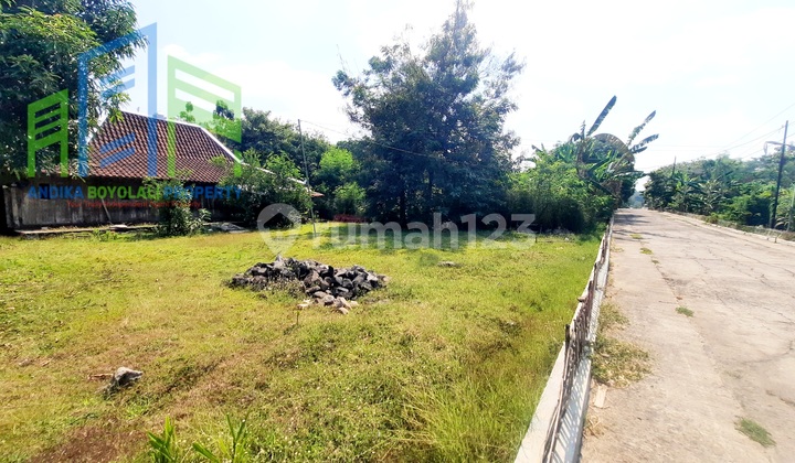Cheap Land for Sale with Rural View in Boyolali
