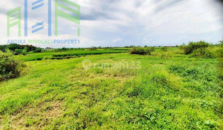 Dijual Tanah Pekarangan Pemandangan Sawah Dan Jalan Tol Di Banyudono Boyolali 2