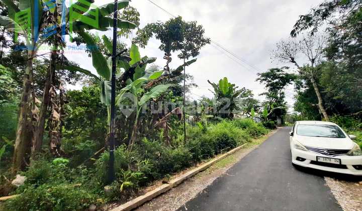 Rural Atmosphere Yard Land in Dlingo Mojosongo Boyolali Rural Atmosphere Yard Land in Dlingo Mojosongo Boyolali