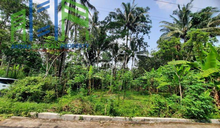 Tanah pekarangan Murah Di Sidomulyo Ampel Boyolali 2