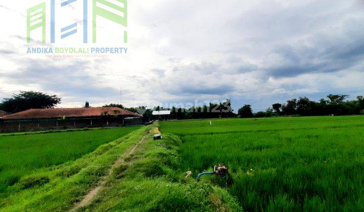 Dijual Tanah Sawah Di Nogosari Boyolali 1