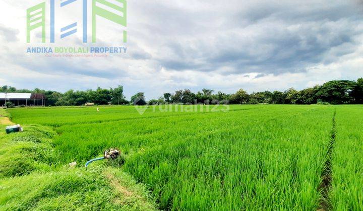 Dijual Tanah Sawah Di Nogosari Boyolali 2