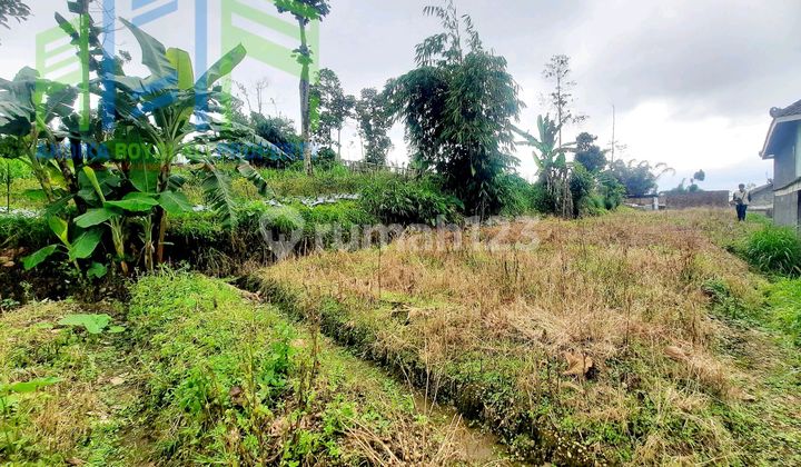 Mountain Ambiance Homestead Land in Selo Boyolali