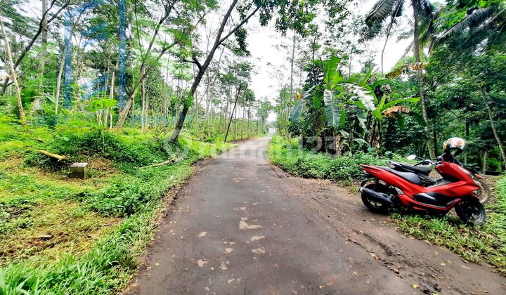 Tanah Murah Cocok untuk Ternak Dekat Sungai di Ampel Boyolali