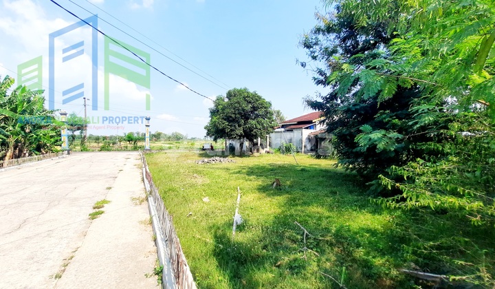 Cheap Land for Sale with Rural View in Boyolali
