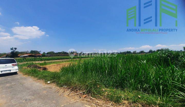 Sawah Murah Belakang Pom Bensin teras Boyolali 1