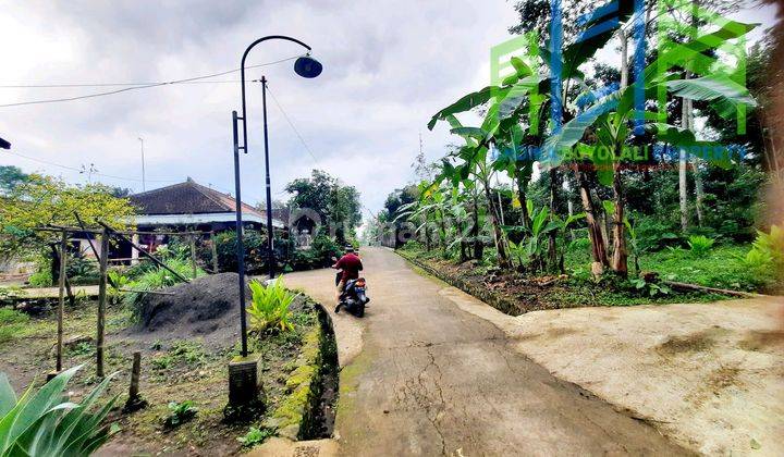 Dijual Tanah Pekarangan Suasana Pedesaan Dekat Jalan Utama 1