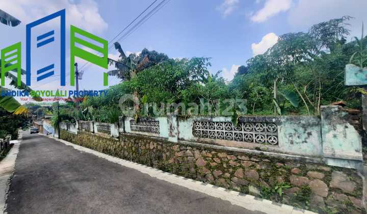 Dijual Tanah Pekarangan Udara Sejuk Pegunungan Di Cepogo Boyolali Dijual Tanah Pekarangan Udara Sejuk Pegunungan Di Cepogo Boyolali