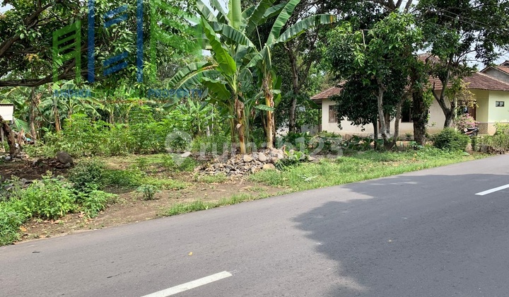 Affordable Strategic Land by DPU Roadside in Boyolali City