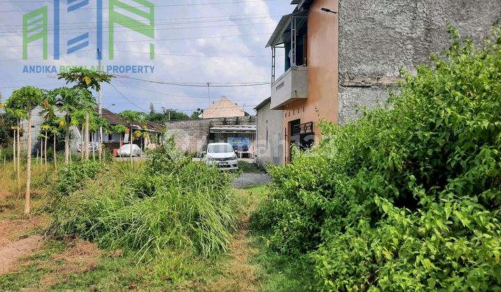Tanah Pekarangan Dekat Perumahan Dan Jalan Raya Di Teras Boyolali