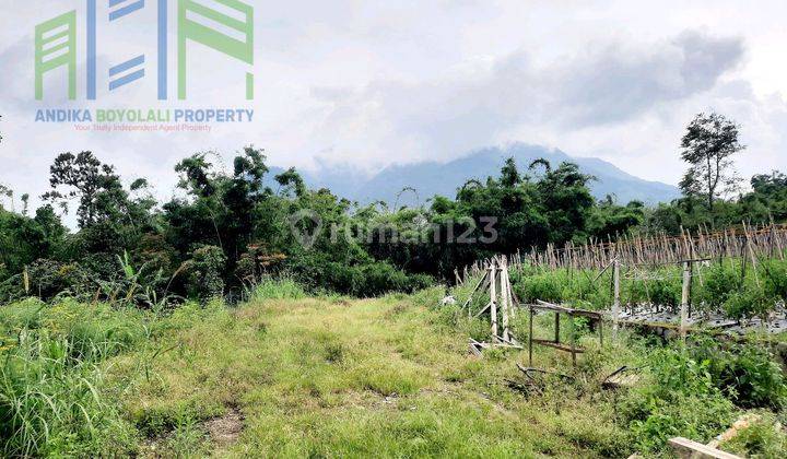 Dijual Tanah Strategis View Gunung Di Selo Boyolali 1