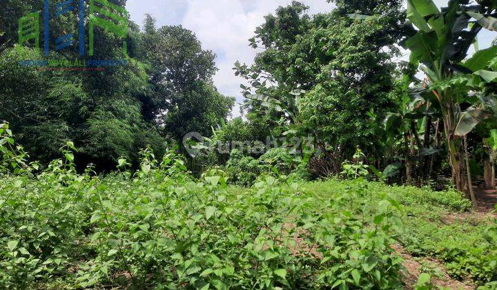 Tanah Pekarangan Di Pengging Banyudono Boyolali 1
