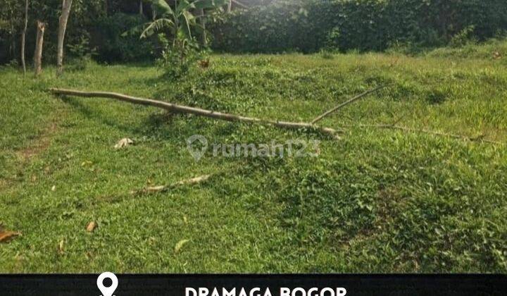 Dijual Tanah di Dramaga Bogor Jawa Barat, Bogor 1.000 m² 1