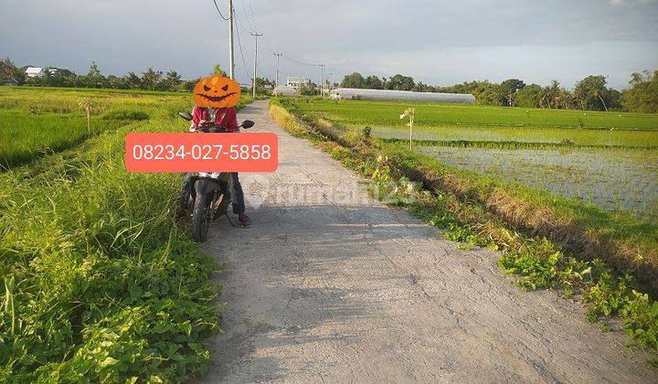 Dijual Tanah 1900 M2 Dkt Pantai Kedungu Belalang Tabanan Bali 2