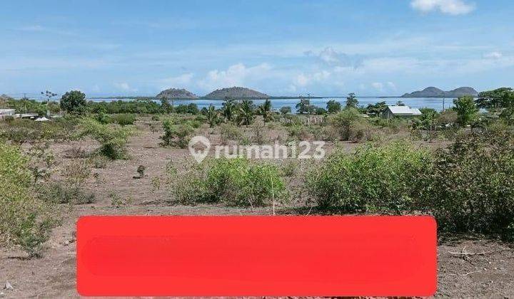 Dijual Tanah di Sumbawa Barat Dkt Pelabuhan Poto Tano Ntb 1