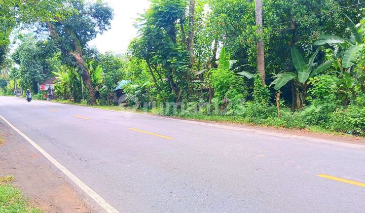 Land 1700 sqm Jln Antiga Manggis - Padangbai Karangasem Bali Land 1700 sqm Jln Antiga Manggis - Padangbai Karangasem Bali