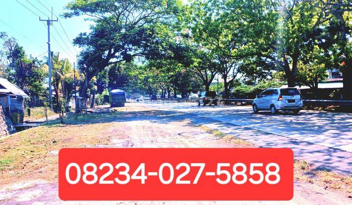 Dijual Tanah 1433 M2 Jl Ida Bagus Mantra Tulikup Gianyar Bali 1