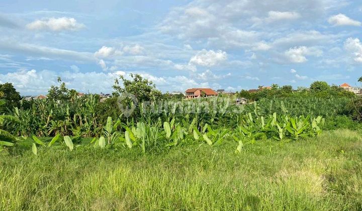 For Rent Land Area Banjar Semer Kerobokan North Kuta Badung Bali